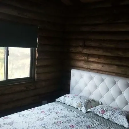 Cabanas Y Bungalow 